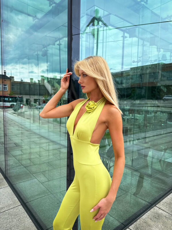 image00003 Classic Halter Jumpsuit – Green Apple